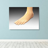 Menselijke voet met zenuwstelsel 2 canvas afdruk (Insitu (Houten vloer))