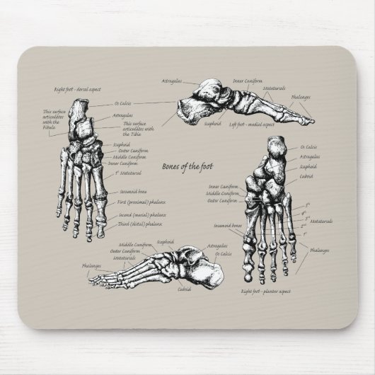Menselijke voet muismat (Voorkant)