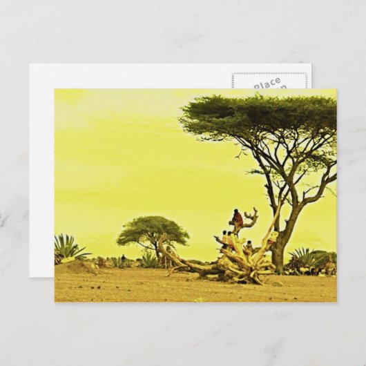 Menselijke vogels Afrika Briefkaart (Voorkant / Achterkant)