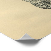 Menselijke wapenanatomie 1902  afdrukken poster (Hoek)