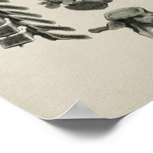 Menselijke wervelkolom Anatomie afdrukken Poster (Hoek)