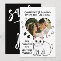 Mensen Die Trouwen Schattige Kattenliefhebbers Han