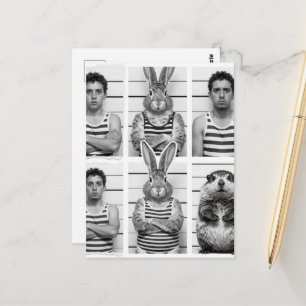Mensen en dieren criminelen bosmarmot en konijn briefkaart
