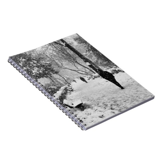 Mensen in het park op sneeuwwinterdag notitieboek (Rechterzijde)