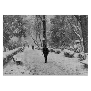 Mensen in het park op sneeuwwinterdag snijplank