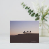 Mensen op kamelen, Marokko Briefkaart (Staand voorkant)