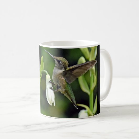 mensvogel koffiemok (Voorkant rechts)