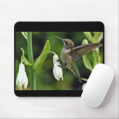 mensvogel muismat (Met muis)