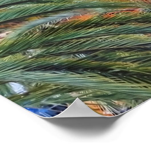 Menton Architecture Poster (Hoek)