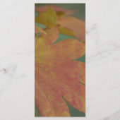 Menu Najaars Weddenschap met kleuren (Achterkant)