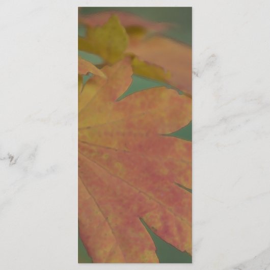 Menu Najaars Weddenschap met kleuren (Achterkant)