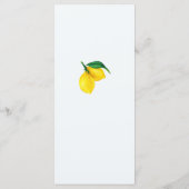 Menu Siciliaans Vrijgezellenfeest (Achterkant)