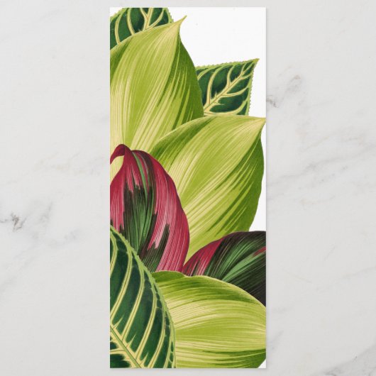 Menu Tropische bladeren (Achterkant)