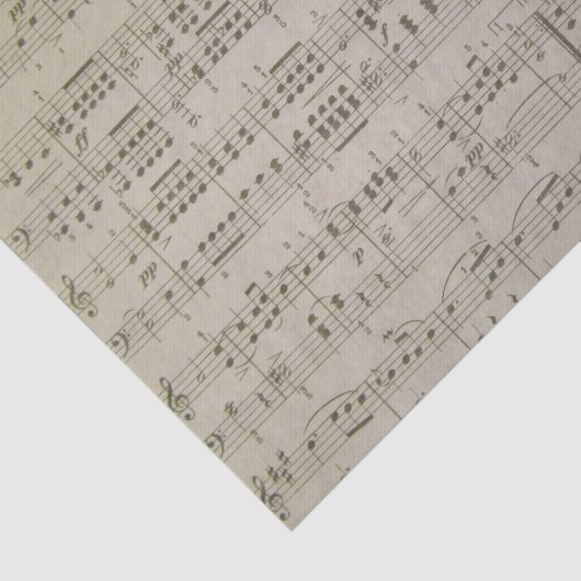 Menuetto Tissuepapier (Detail)