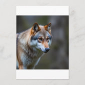 Menu's  (Achterkant)