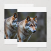 Menu's  (Voorkant / Achterkant)