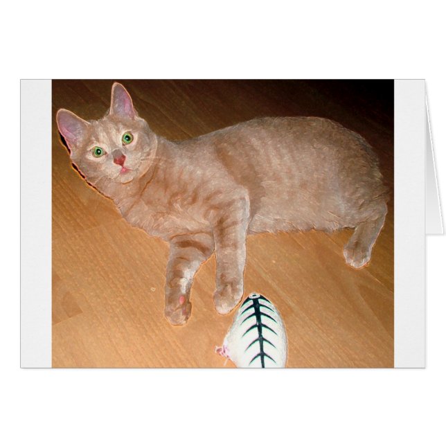 MEOW (Voorkant Horizontaal)