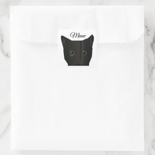 Meow Black Cat  Vierkante Sticker (Tas)