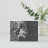 Meow Briefkaart (Staand voorkant)