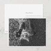 Meow Briefkaart (Voorkant / Achterkant)