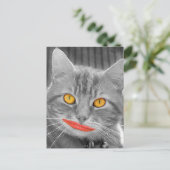 Meow Briefkaart (Staand voorkant)