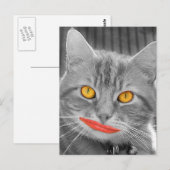 Meow Briefkaart (Voorkant / Achterkant)