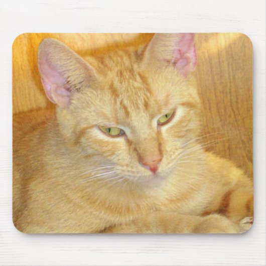 Meow Cat 15 Mousepad Muismat (Voorkant)