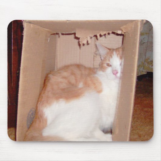 Meow Cat 31 Mousepad Muismat (Voorkant)