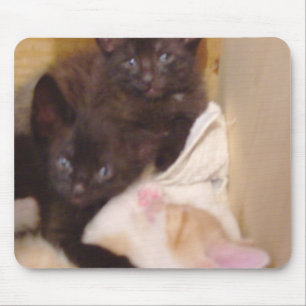 Meow Cat 38 Mousepad Muismat