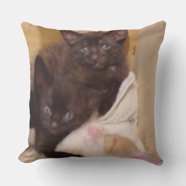 Meow Cat 38 Square Sierkussen (Voorkant)