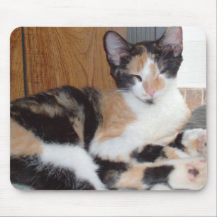 Meow Cat 39 Mousepad Muismat
