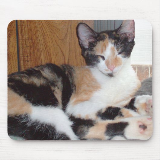 Meow Cat 39 Mousepad Muismat (Voorkant)