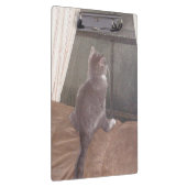 Meow Cats 11 klembord (Rechts)