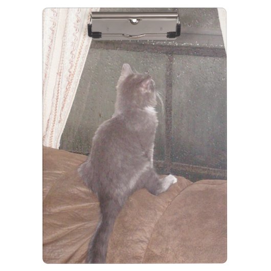 Meow Cats 11 klembord (Voorkant)