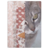 Meow Cats 13 klembord (Achterkant)