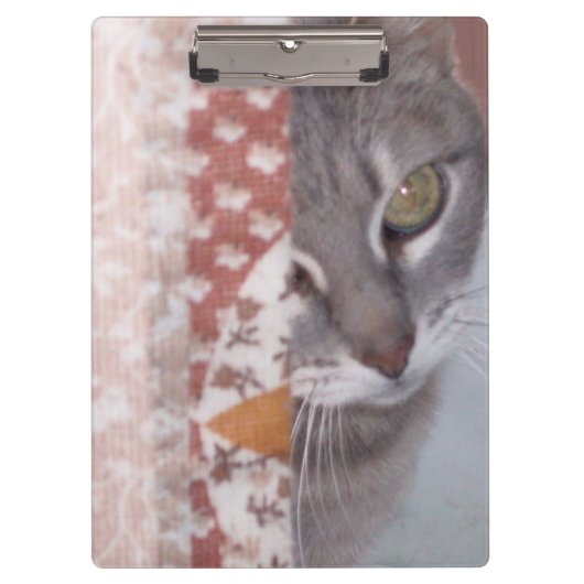 Meow Cats 13 klembord (Voorkant)