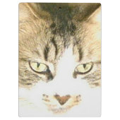 Meow Cats 14 klembord (Achterkant)