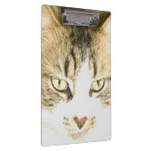 Meow Cats 14 klembord (Rechts)