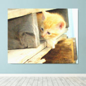 Meow Cats 1 Wrapped Canvas Afdruk (Insitu (Houten vloer))