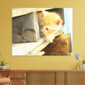 Meow Cats 1 Wrapped Canvas Afdruk (Insitu (Woonkamer))