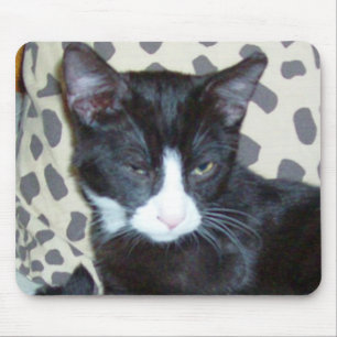 Meow Cats 20 Muismat