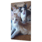 Meow Cats 21 klembord (Links)