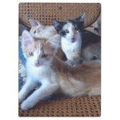 Meow Cats 21 klembord (Achterkant)