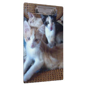 Meow Cats 21 klembord (Rechts)