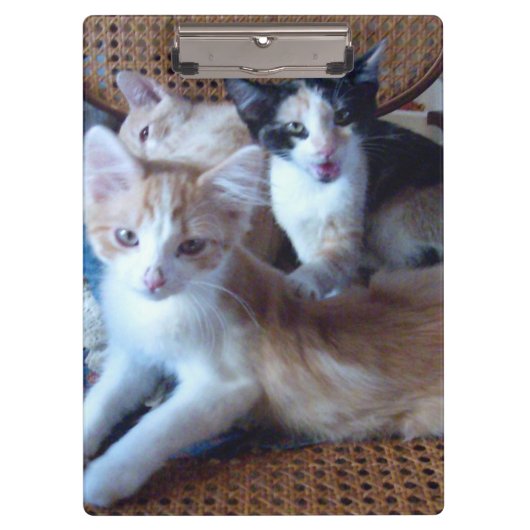 Meow Cats 21 klembord (Voorkant)