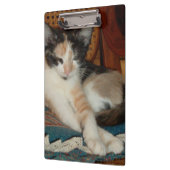 Meow Cats 23 klembord (Links)