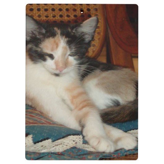 Meow Cats 23 klembord (Achterkant)