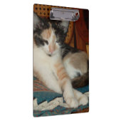 Meow Cats 23 klembord (Rechts)