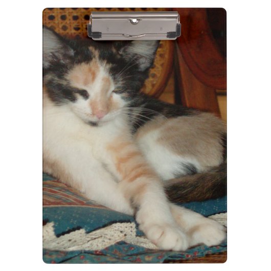 Meow Cats 23 klembord (Voorkant)