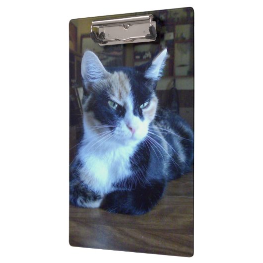 Meow Cats 24 klembord (Links)